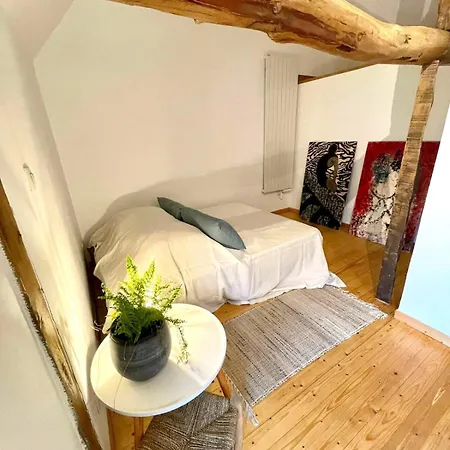 Apartment Stylish Renovated 19th-century Barn